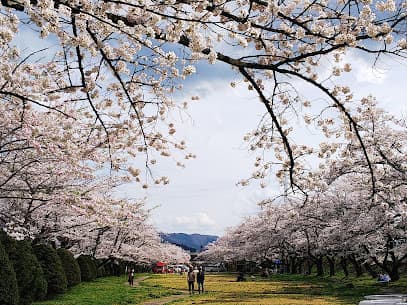 宮川緑地公園 (西園)