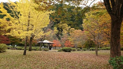 赤保木公園