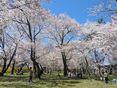桜野公園